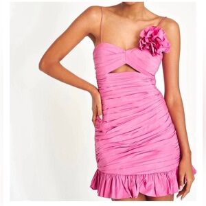 NWT LoveShackFancy Jessilyn Ruched Ruffle Mini Dress In Pomegranate Pink Size 8